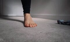 Tiny Snack Found and Swallowed