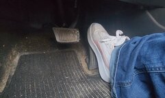 Highway Cruise in Pumas