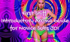 First Sniff - Introductory Aroma Guide for Novice Subs JOI WMV