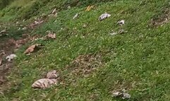 Me peeing outside and you lay under me Love SexyBoudicca