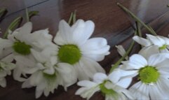 Stomp on flowerS with Shoes I