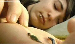 Unaware Eclipse's Desperate Micro People - HD 720p Version