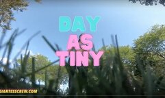 Giantess Crew - FALL GIRL