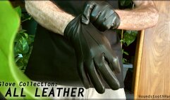Glove Collection: All Leather