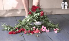 Roses under Beach Sandals