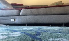 My family's shoe cleaner