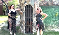 Slave getting punished merciless by two Dommes