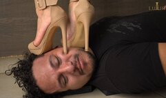 No perder la costumbre Don't lose the habit