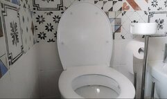 a snack full of brown right on the toilet (mp4)