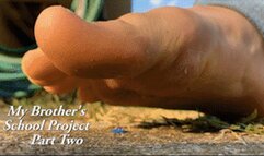 My Brother's School Project - Part Two - HD 1080p Version