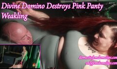 Divine Domino destroys Pink Panty Weakling