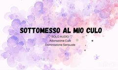 Sottomesso al mio culo (solo audio)