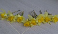 I crushed a lot of yellow flowers by stomping on them b