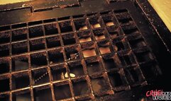 Hunted & Caged Part 2 *wmv*