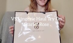 Victoria's Secret Lingeire Haul Try On