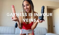 GAYNESS IS IN YOUR VEINS Bisexual encouraged