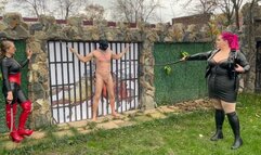 Brutal chest-bullwhipping by BBW Mistress