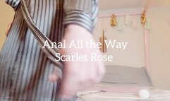 Anal All The Way
