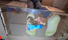 Barbies under toe socks underglass