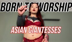 Born To Worship Asian Giantesses