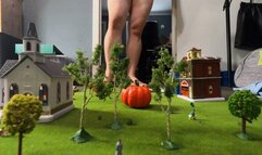 Small Town Disaster I