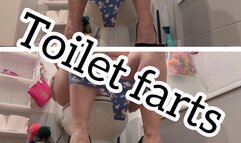 Toilet farts loud