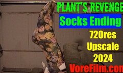 Plant's Revenge - socks 720res upscale