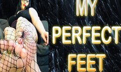 MY PERFECT FEET