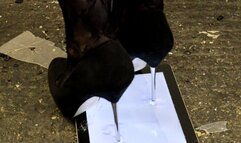 iPad crush with black metal heel metal tipped stiletto high heels