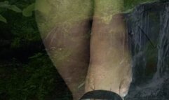 Mesmerizing Meditative Financial Domination