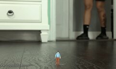 Giantess Remy Boo Finds Tiny Shrunken Foot Slave (HD 1080p MP4)
