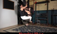 Appeso come un salame - Hanging like a salami