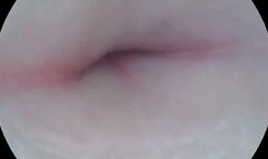 Belly Button Exploration