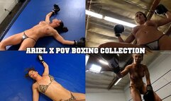 Ariel X POV Boxing Collection