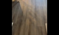 Ass Licking and While Farting