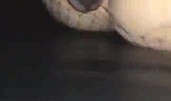 Cuckold Lets 2 BBC Fuck his Slutty Wife