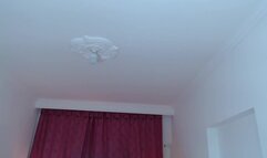 alisia_rose March 24 2024 10-51-23 @ Chaturbate WebCam