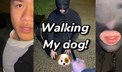 Walking my slave as a dog