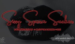 Sissy Sperm Sucker Feminization Slut Training and CEI MP3