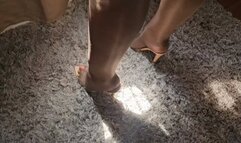 Balbina super sexy BBW Goddess in Nude and Shiny Pantyhose