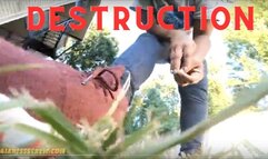 Giantess Crew – CJ – Destruction