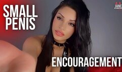 small penis encouragement