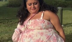 Waddling Around An Amusement Park