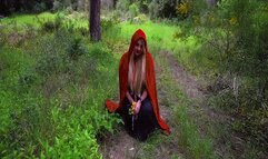 unusual story of the red riding hood MP4