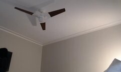 YourGoddessLu February 15 2024 WebCam 3