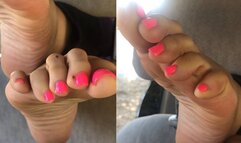 Pink toes car sniffing soles