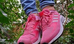 Sniff, Worship, Lick Adidas Sneakers (mkv)