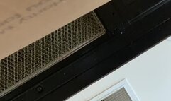 Giantess POV: Tiny Pervert Arrives in a Box