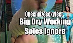Big Dry Working Soles Ignore