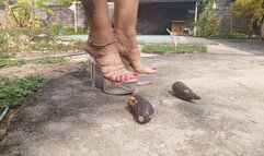 Crushing this fruit as if it were your penis (3)